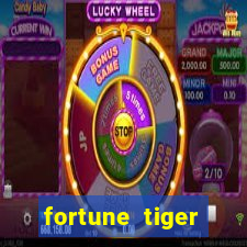 fortune tiger aposta de 1 real